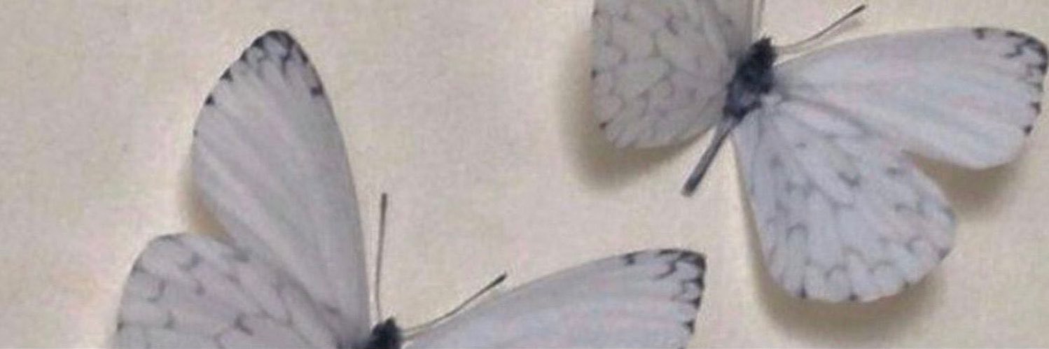 ꨄ banner