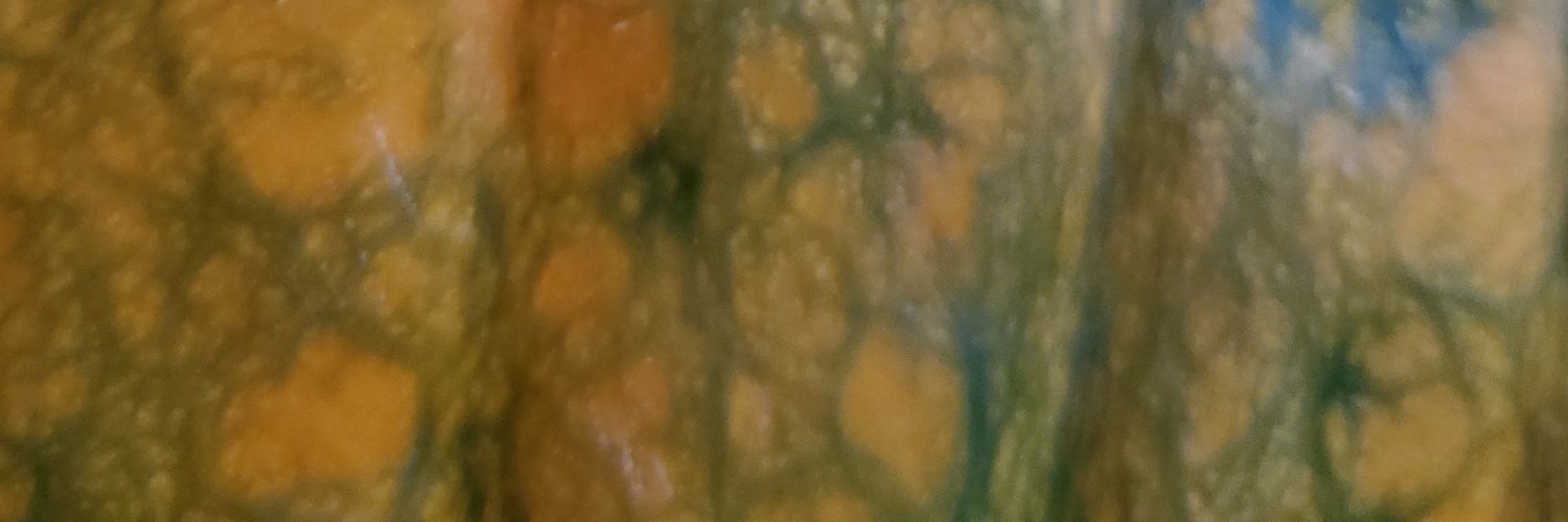 seththerabbit's profile banner image