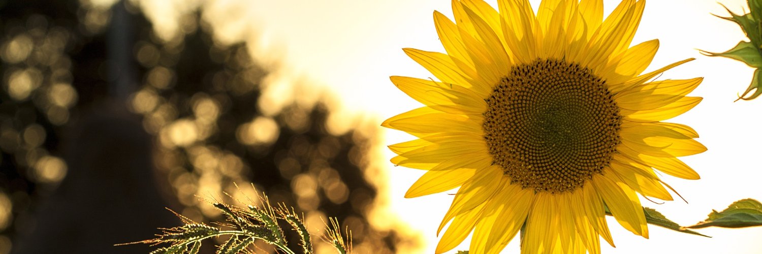 vanducthtb's profile banner image