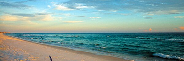 nora1396 Profile Banner