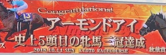 rinrin_japan1's profile banner image