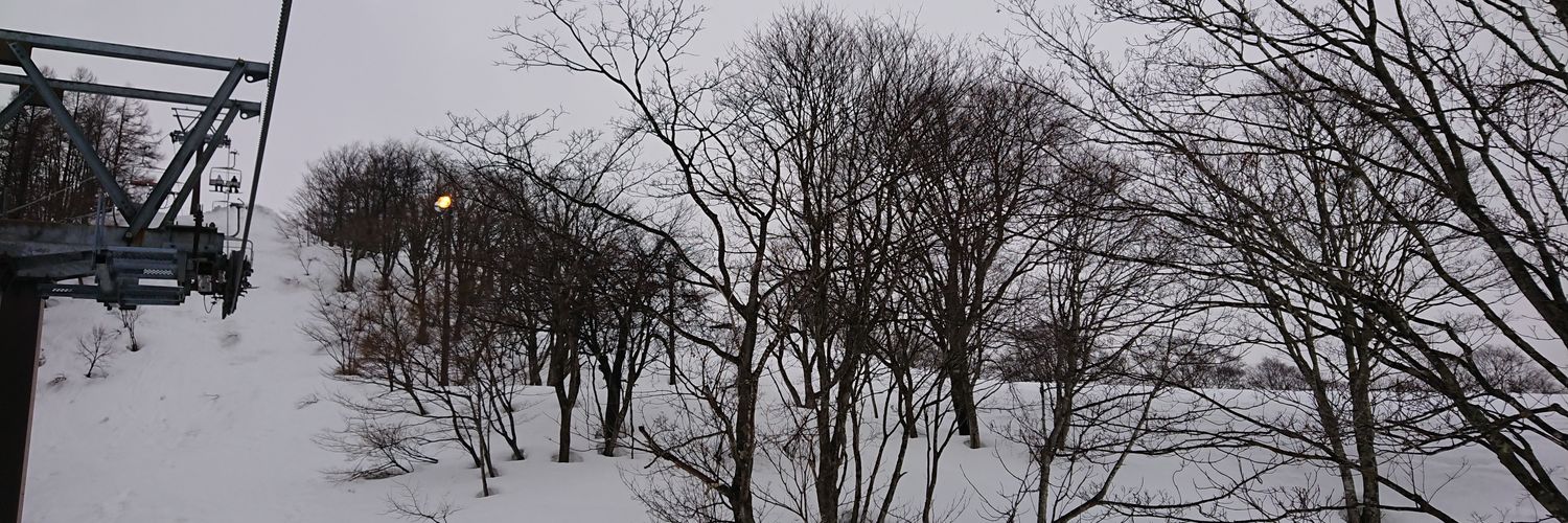 KAITO_baum's profile banner image