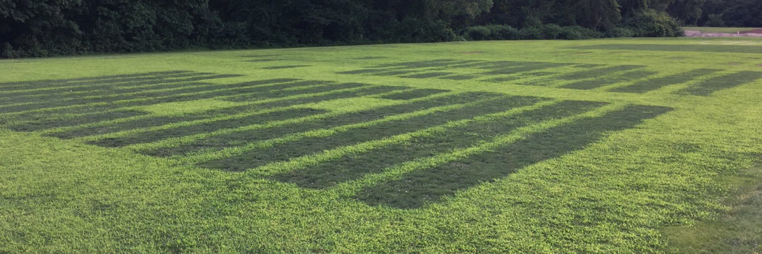 tuckturf's profile banner image