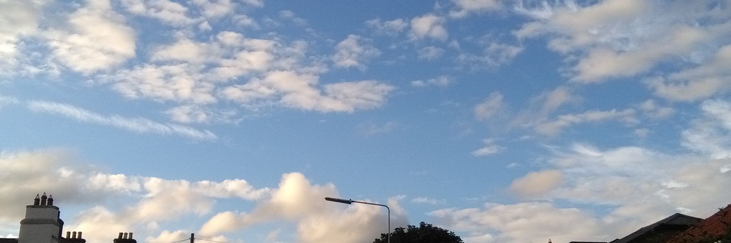 maryenthuses's profile banner image