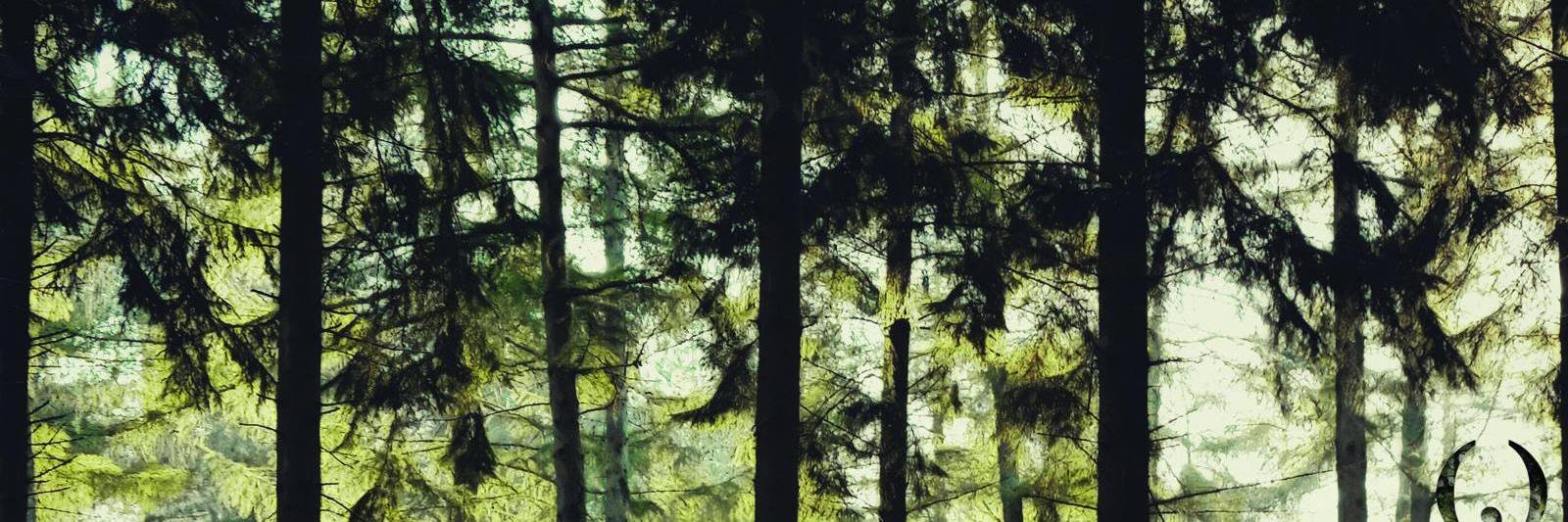 DYMPband's profile banner image