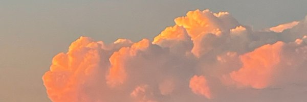 ray__wise Profile Banner