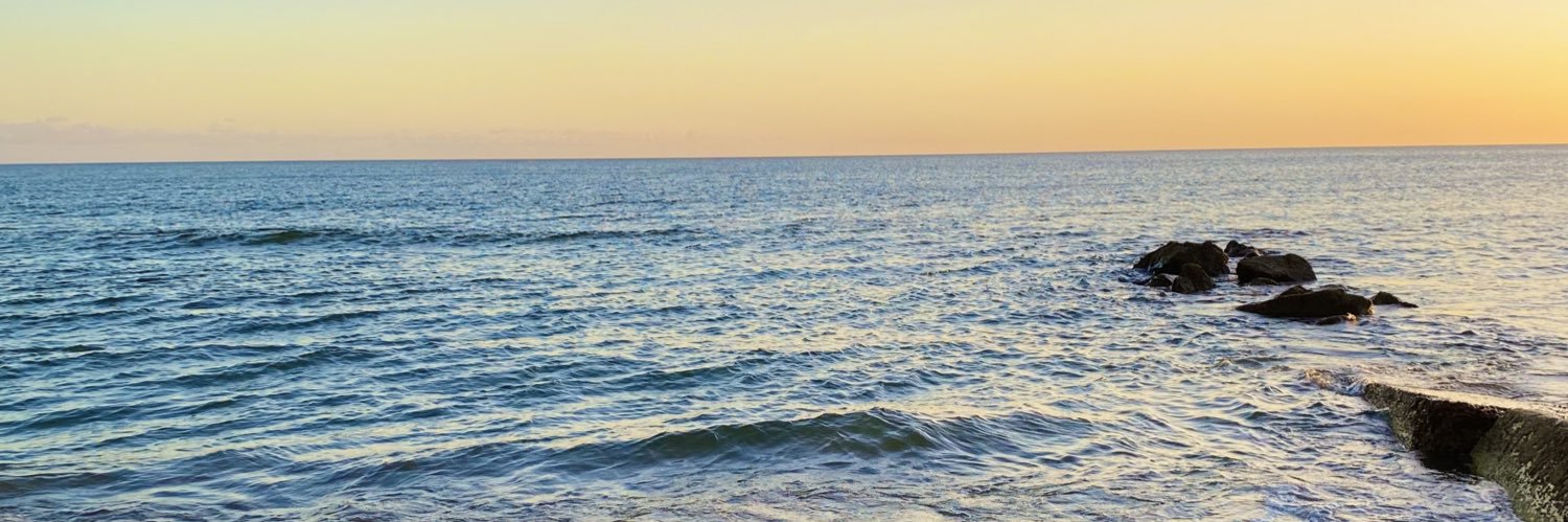 DaianaLaggiard's profile banner image