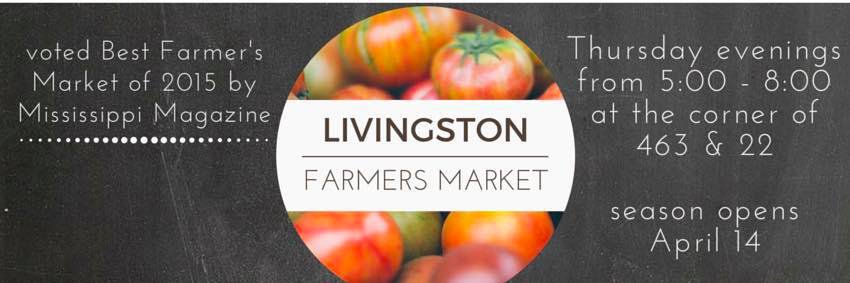 Town_Livingston's profile banner image