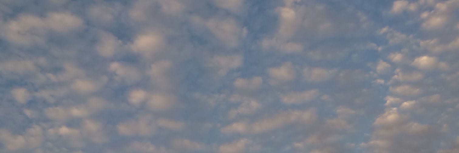 puuun01's profile banner image