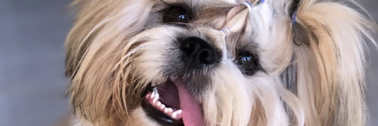 a_limaap's profile banner image