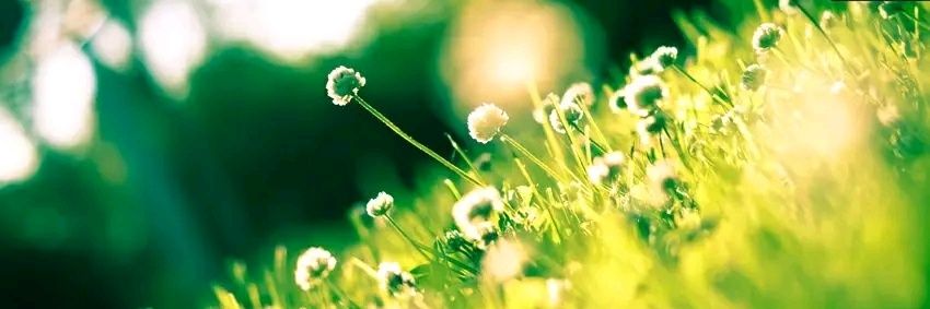 Devjani Bhuyan banner