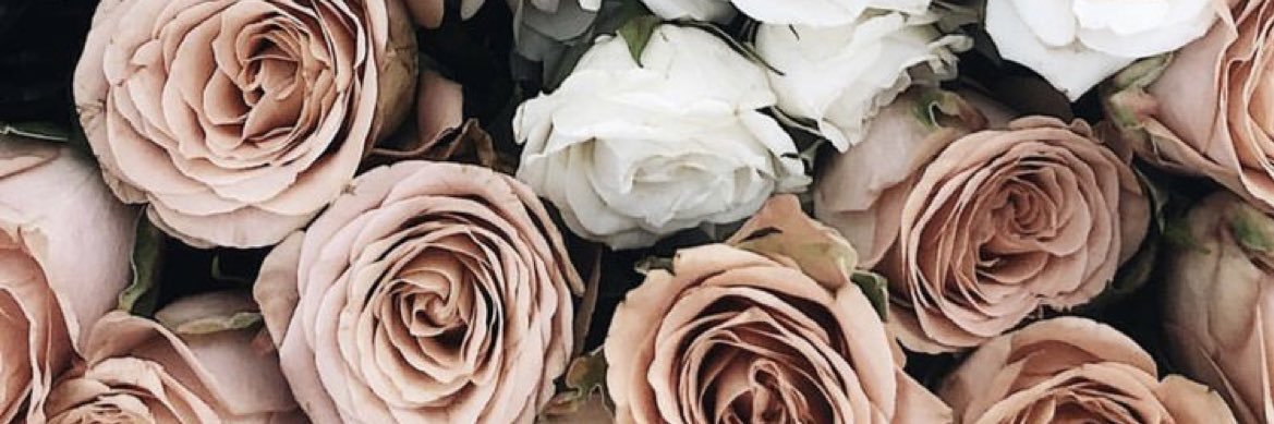 IAmJennlaurenn's profile banner image