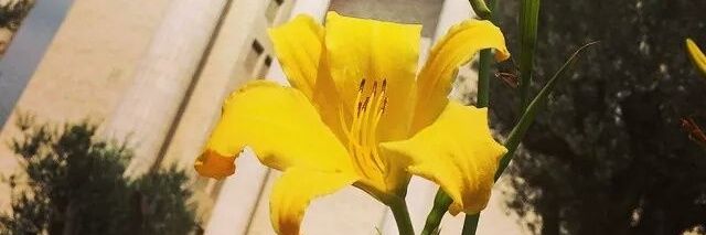 paty3208's profile banner image