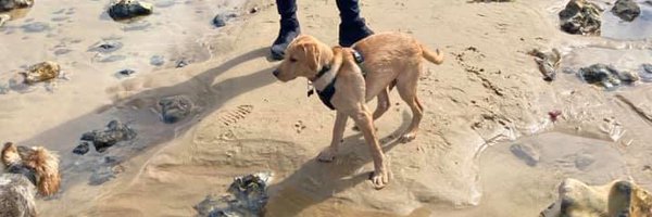 ConnorLovee Profile Banner