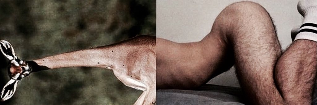 ureelan's profile banner image