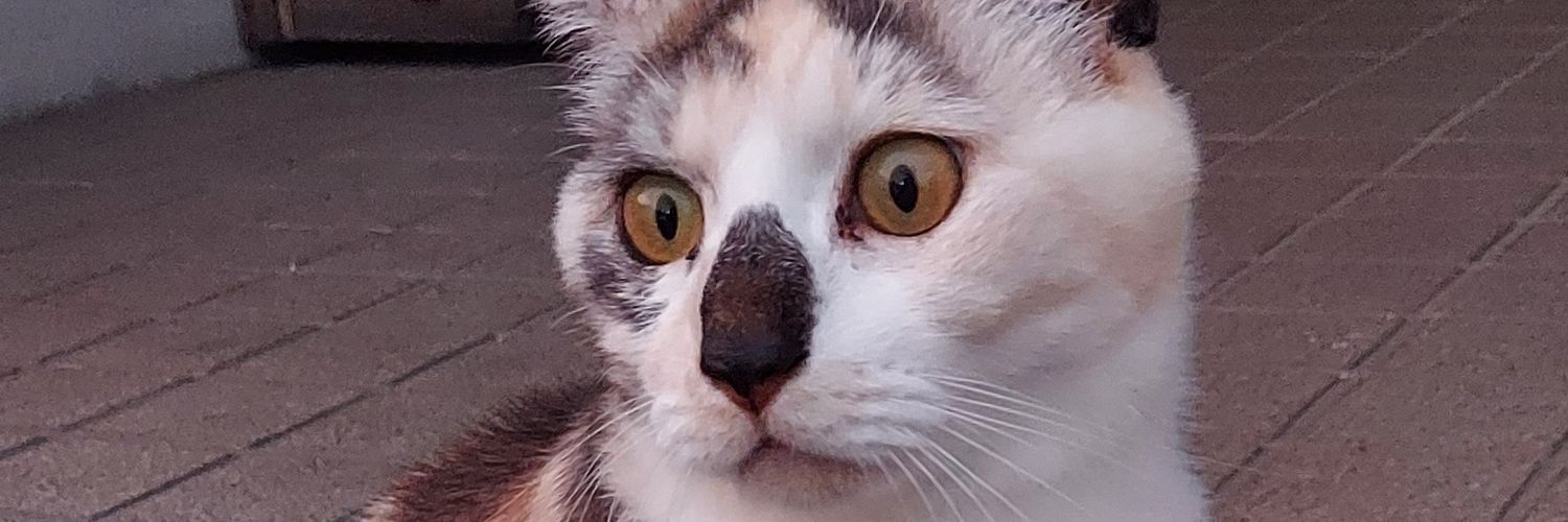 konami55555's profile banner image
