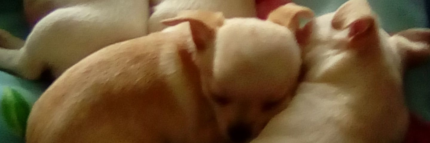 TerryMargret's profile banner image
