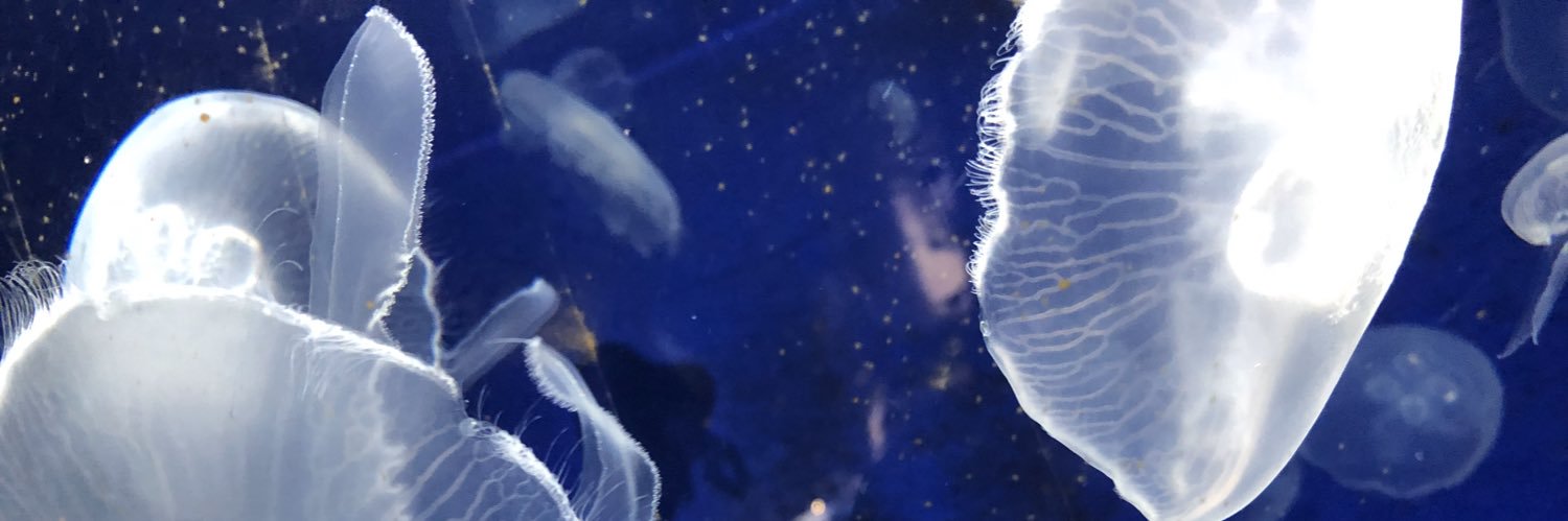 2d89ec's profile banner image