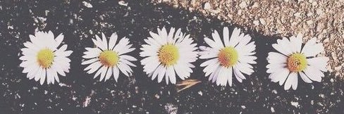 KelliBell123's profile banner image