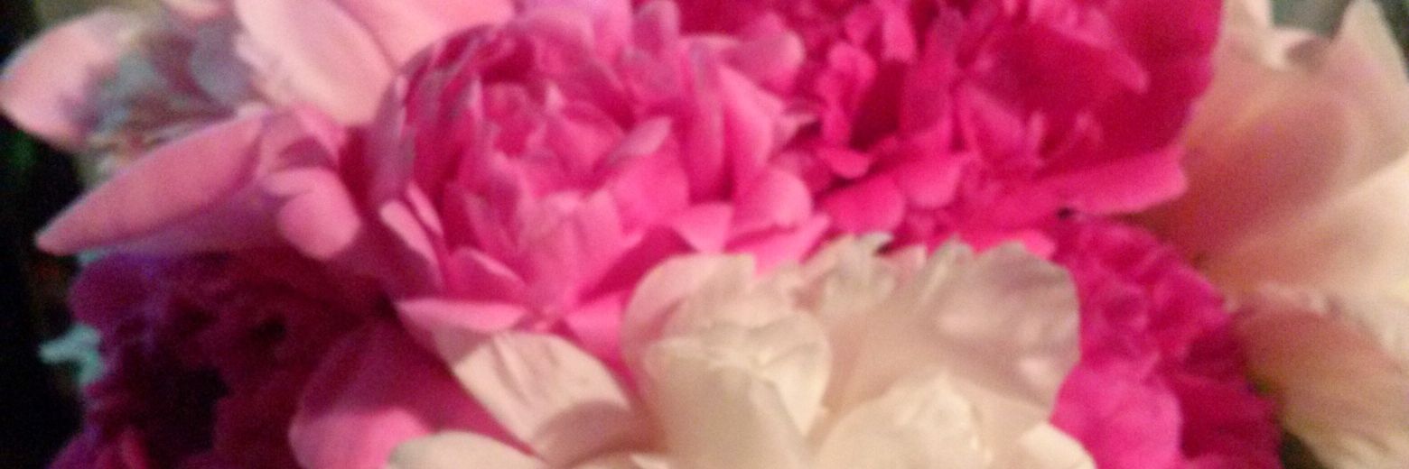 Linda Bergfeld banner
