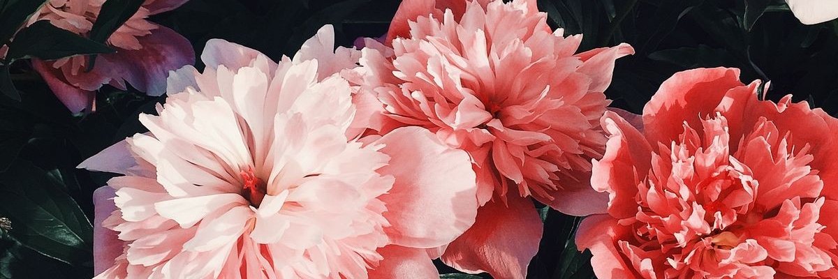 Agusiisla's profile banner image