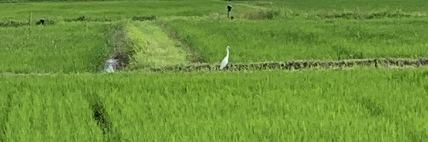 Takami (TAH-kah-mee)貴美 banner