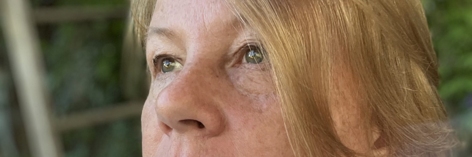 ThisLizSaunders's profile banner image