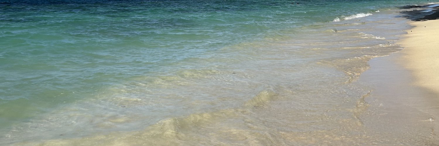 telAviv44's profile banner image