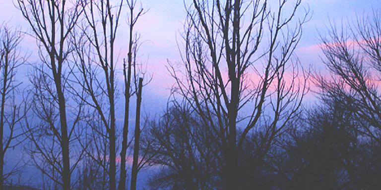Sxicide_mind's profile banner image