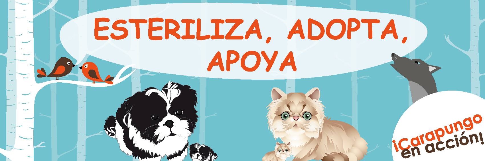 Carapungo en acción banner