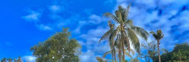 yleonaflor's profile banner image