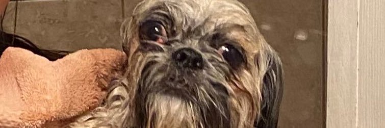 colllprice's profile banner image