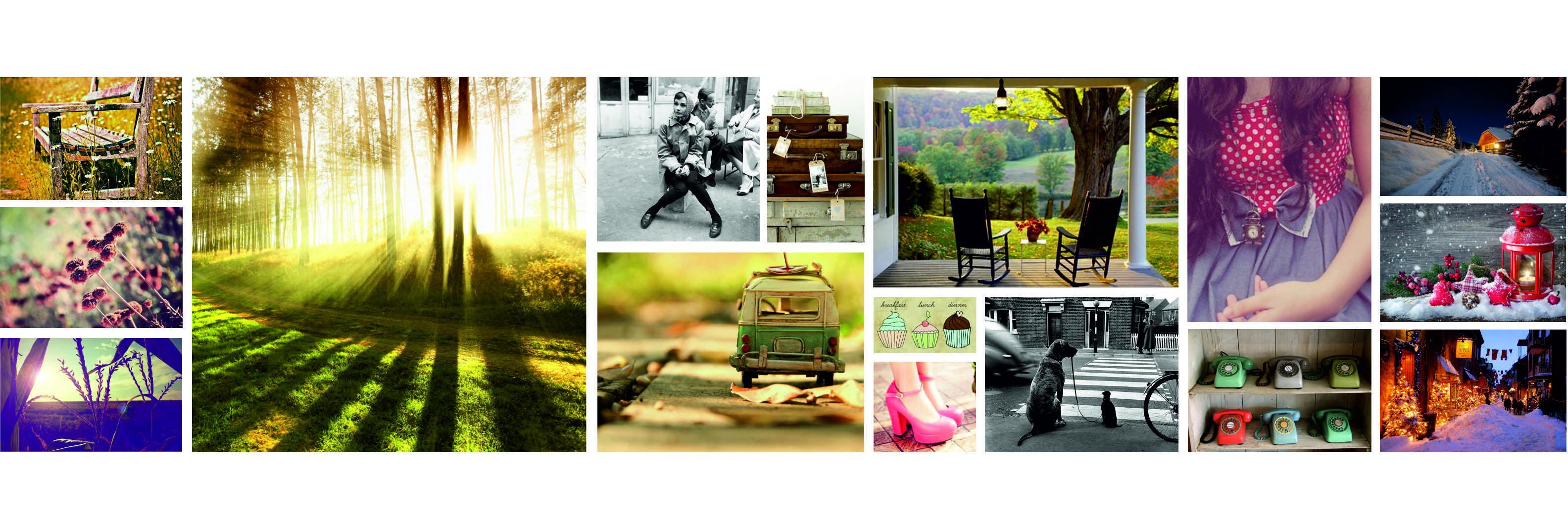 olina_cat's profile banner image