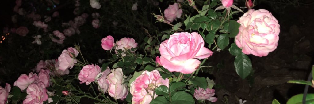 snoopyy08261's profile banner image