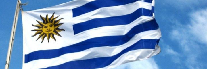 mirthalidia's profile banner image