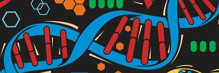 PalacioPlinio's profile banner image