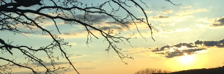 DerekLikesBeer's profile banner image