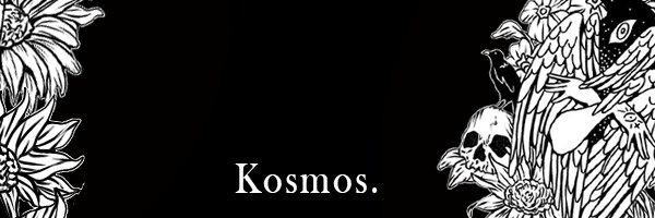 IIKosmosII's profile banner image