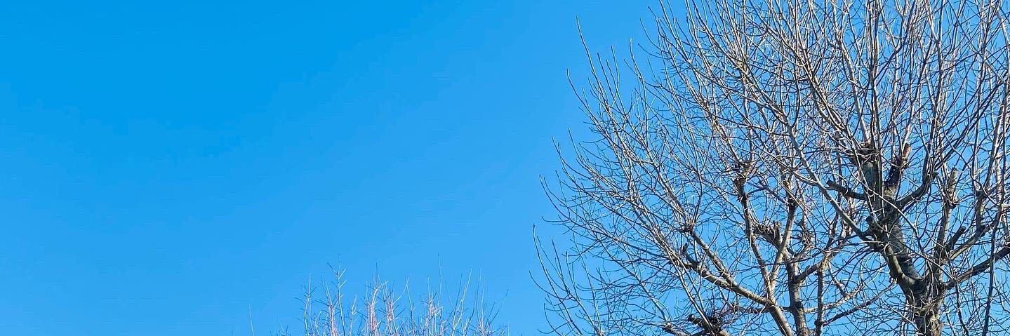 OMO BOBAGUNWA banner