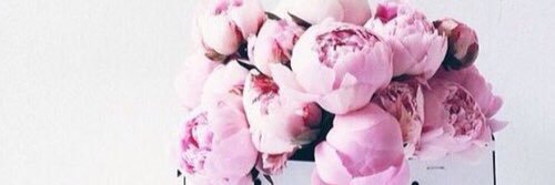 MariabelMedina's profile banner image