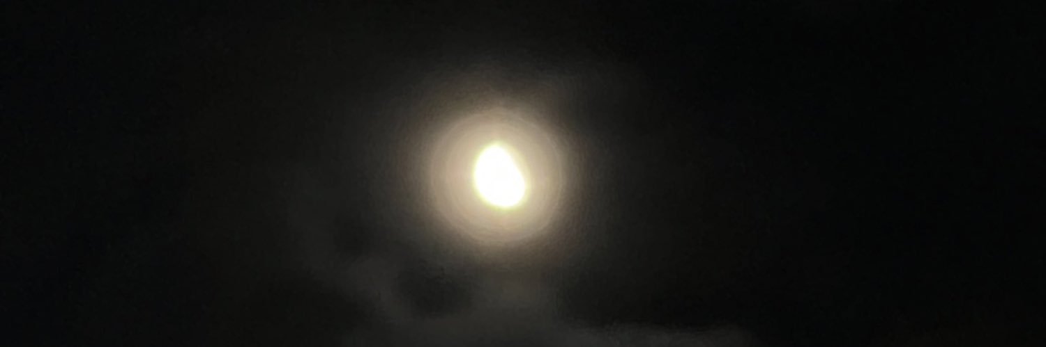 _bott_0612's profile banner image
