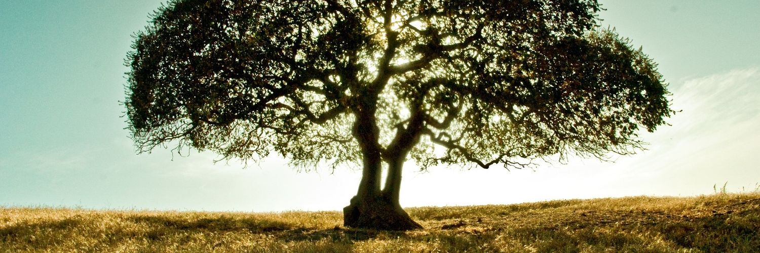 nabs74150's profile banner image
