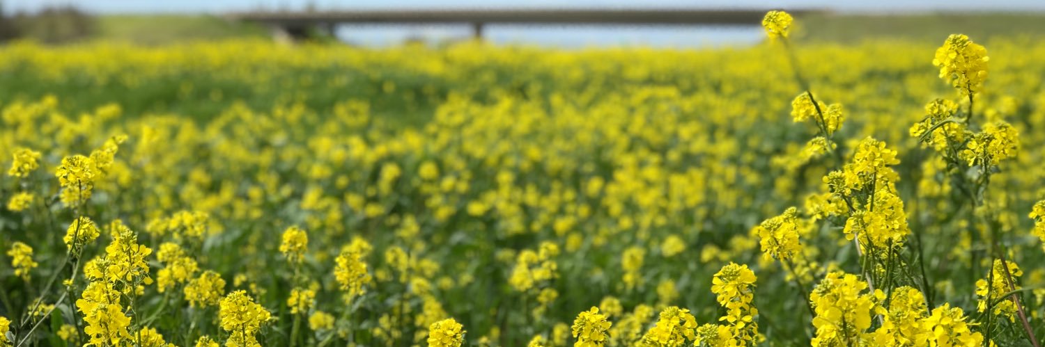 The Natomas Buzz banner