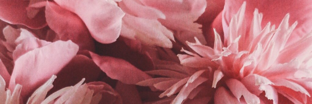 ChrissMDV's profile banner image