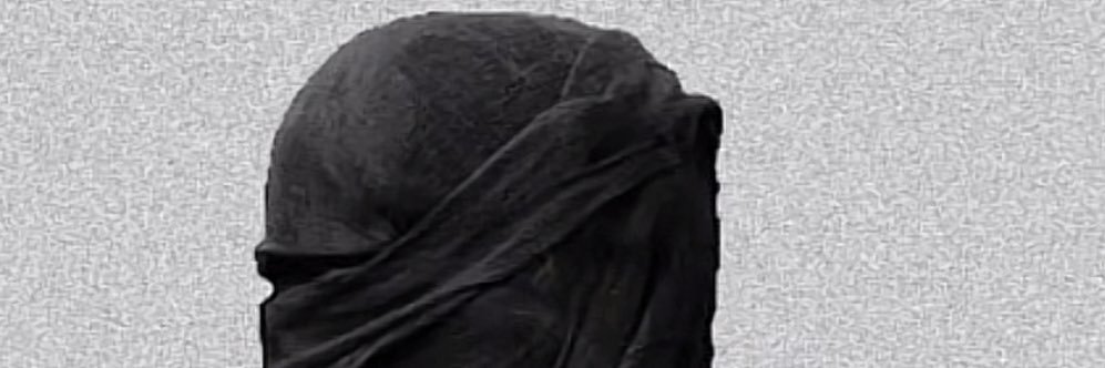 qfjn's profile banner image