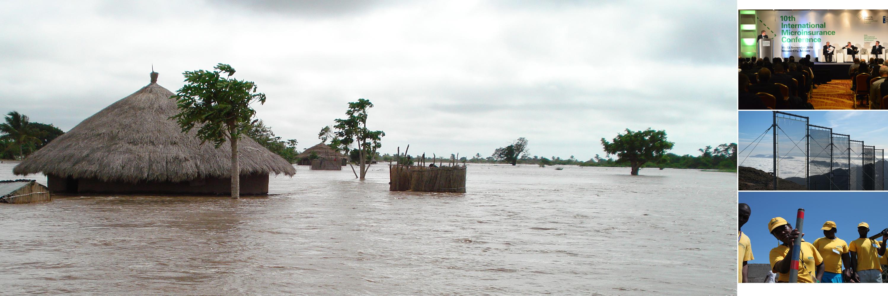 Munich Re Foundation - From Knowledge to Action banner