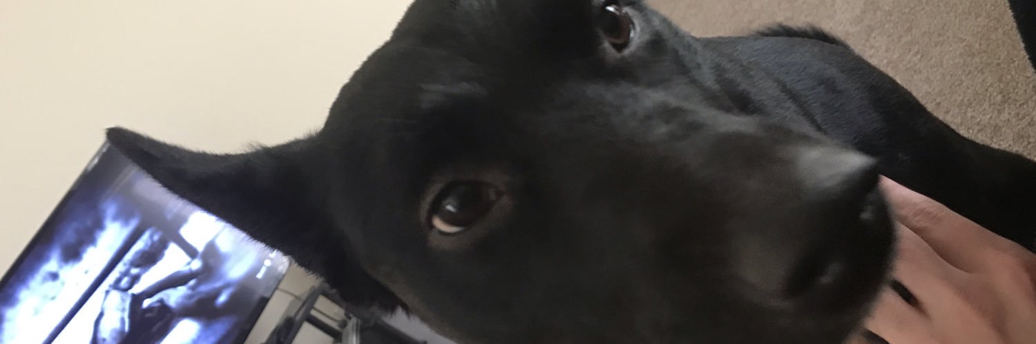 RegularSizedSon's profile banner image