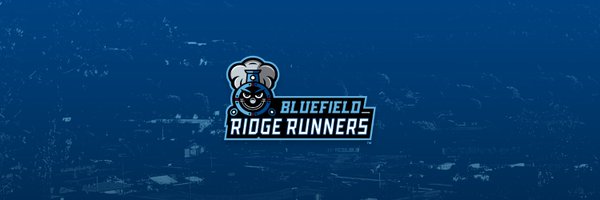 goridge_runners Profile Banner
