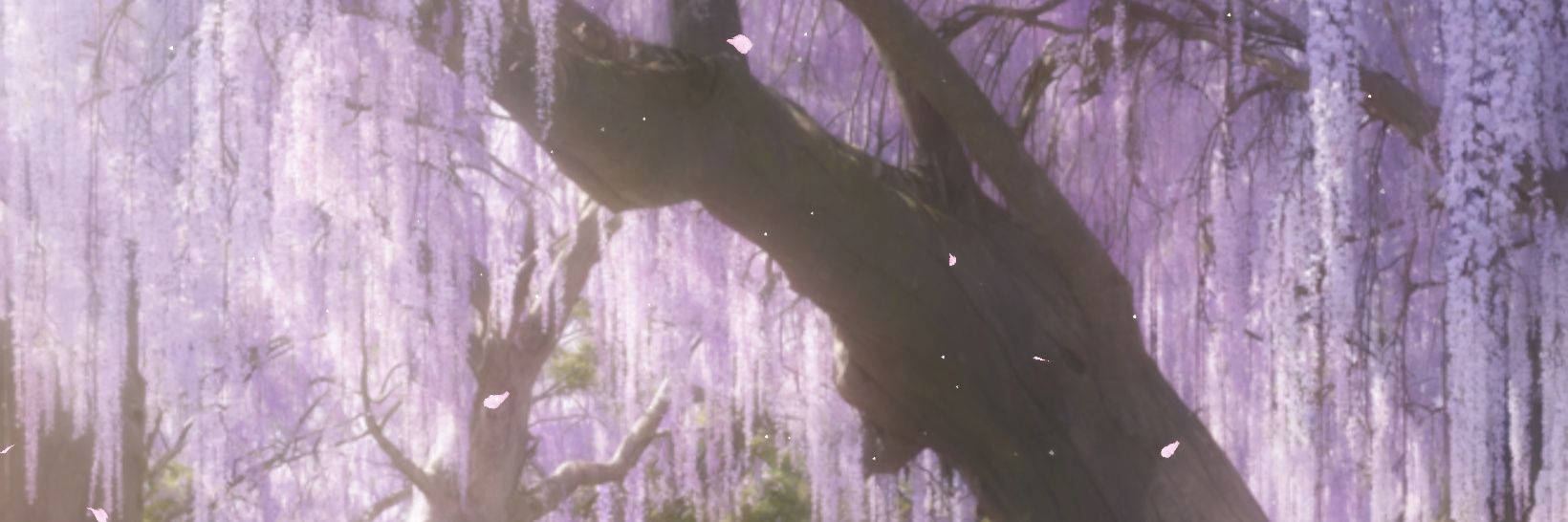 fishielady's profile banner image