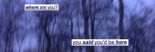 violetdlgdr's profile banner image